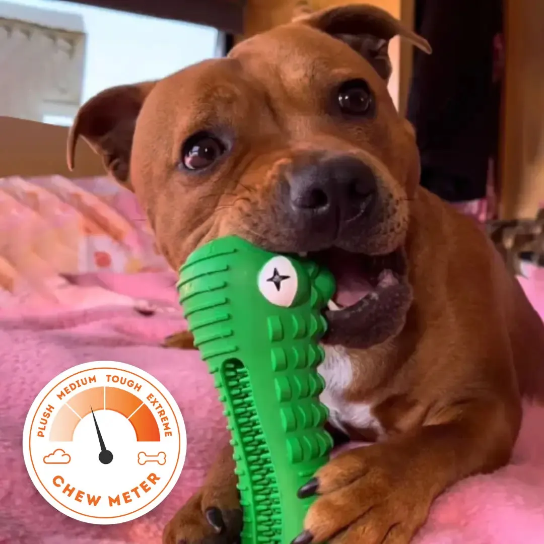 A green rubber crocodile-shaped dental chew toy for dogs, designed to help clean teeth while chewing.