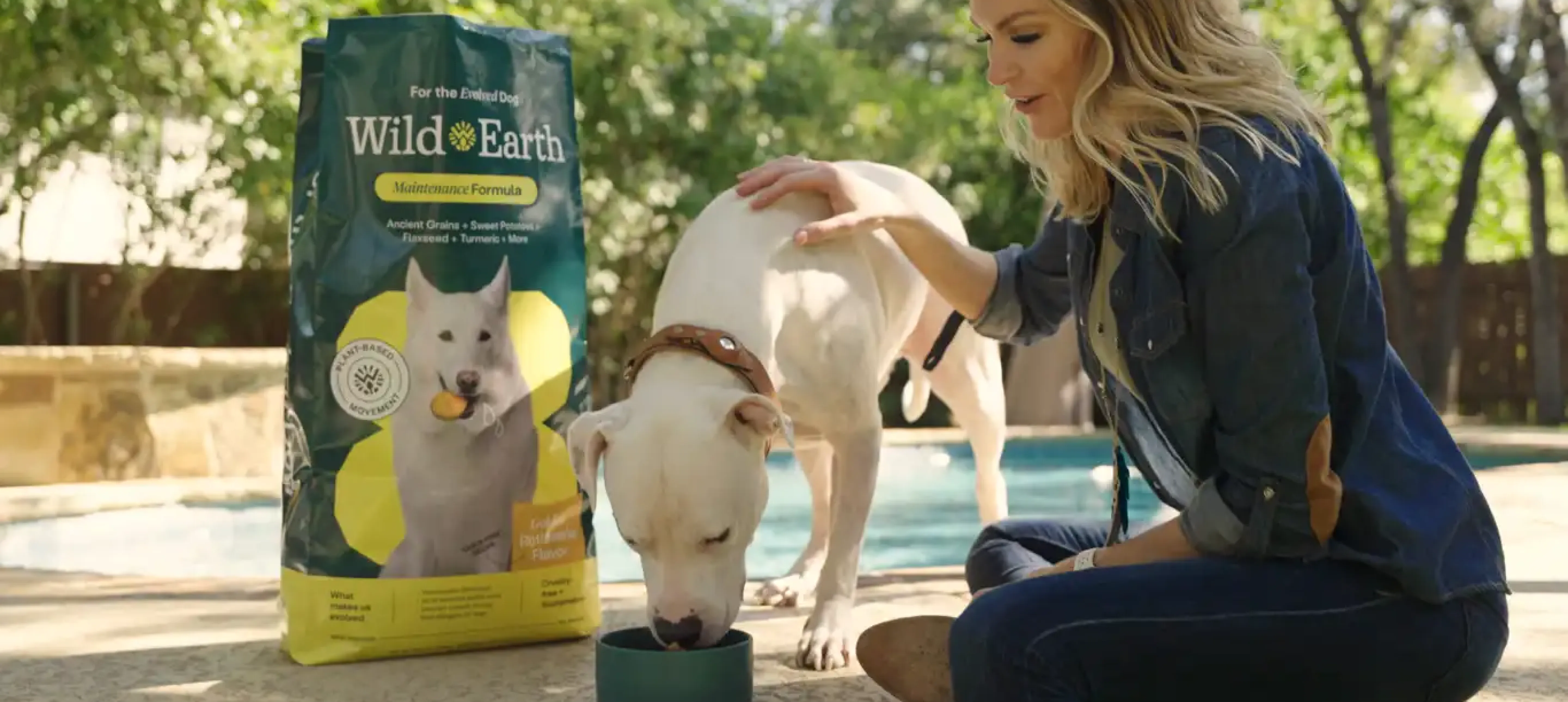 A happy dog eating vegan dog food from a bowl.