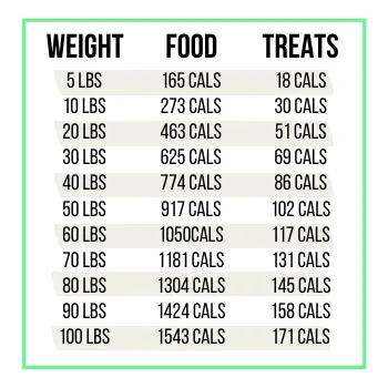 A happy dog enthusiastically eating from a bowl, illustrating the enjoyment of a well-portioned meal.