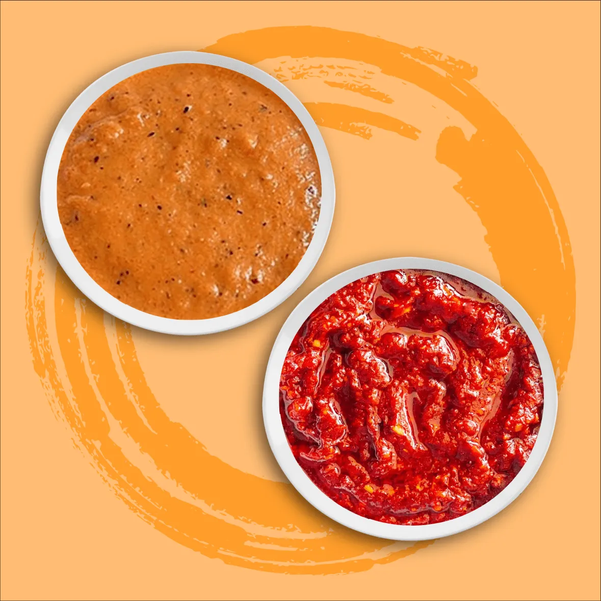 A happy dog looking at a bag of treats, indicating a reward for good behavior