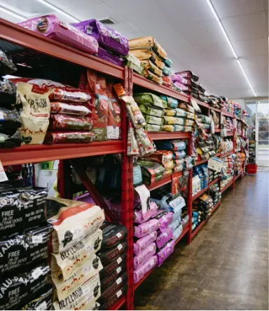 A happy dog posing in a cozy, fashionable sweater outdoors