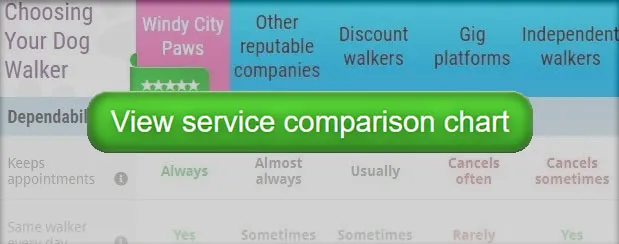 A happy dog running through a grassy field with a blurred background, suggesting movement and joy.