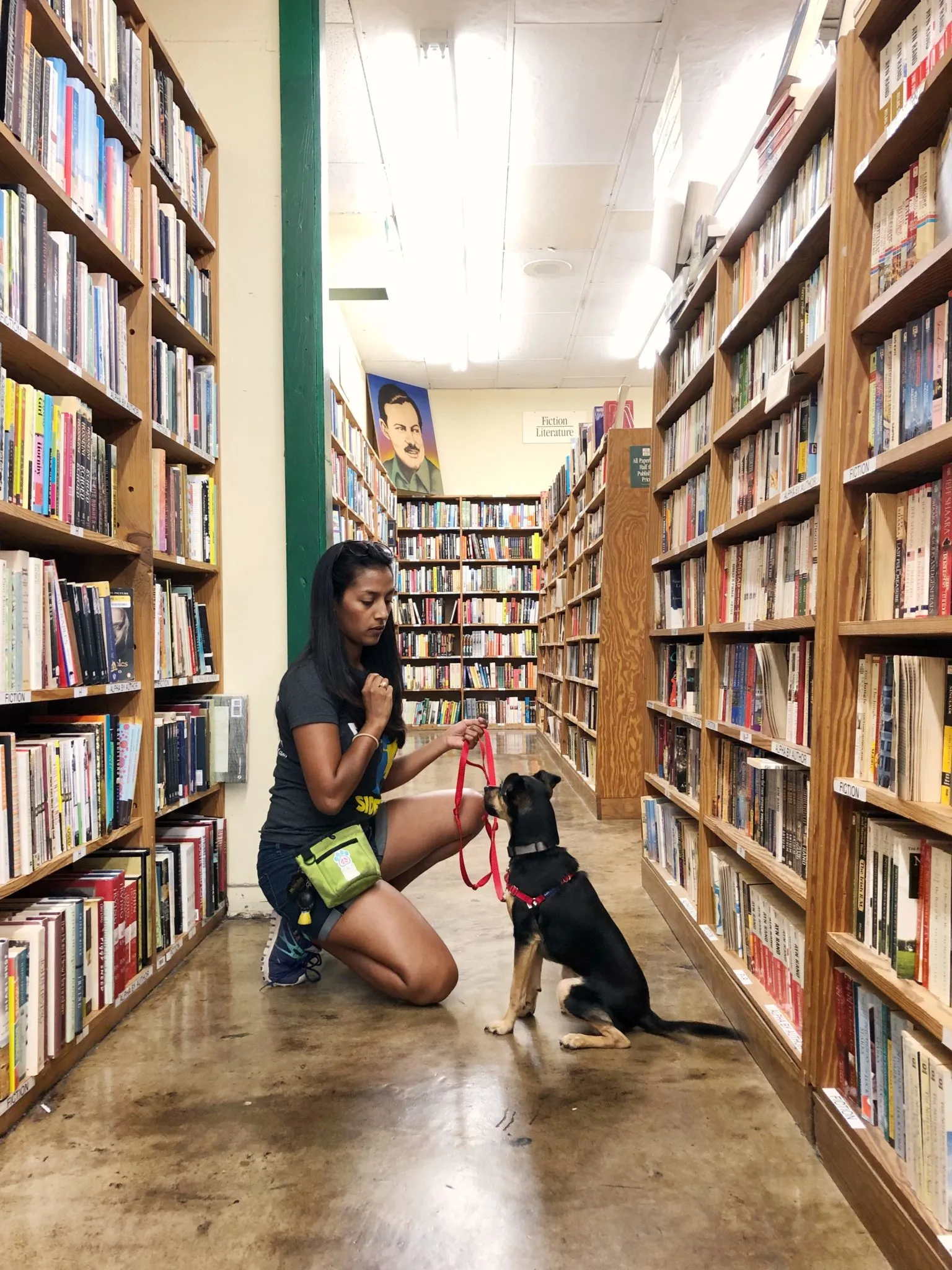A happy dog sitting among books inside a Half Price Books store, enjoying the dog-friendly atmosphere