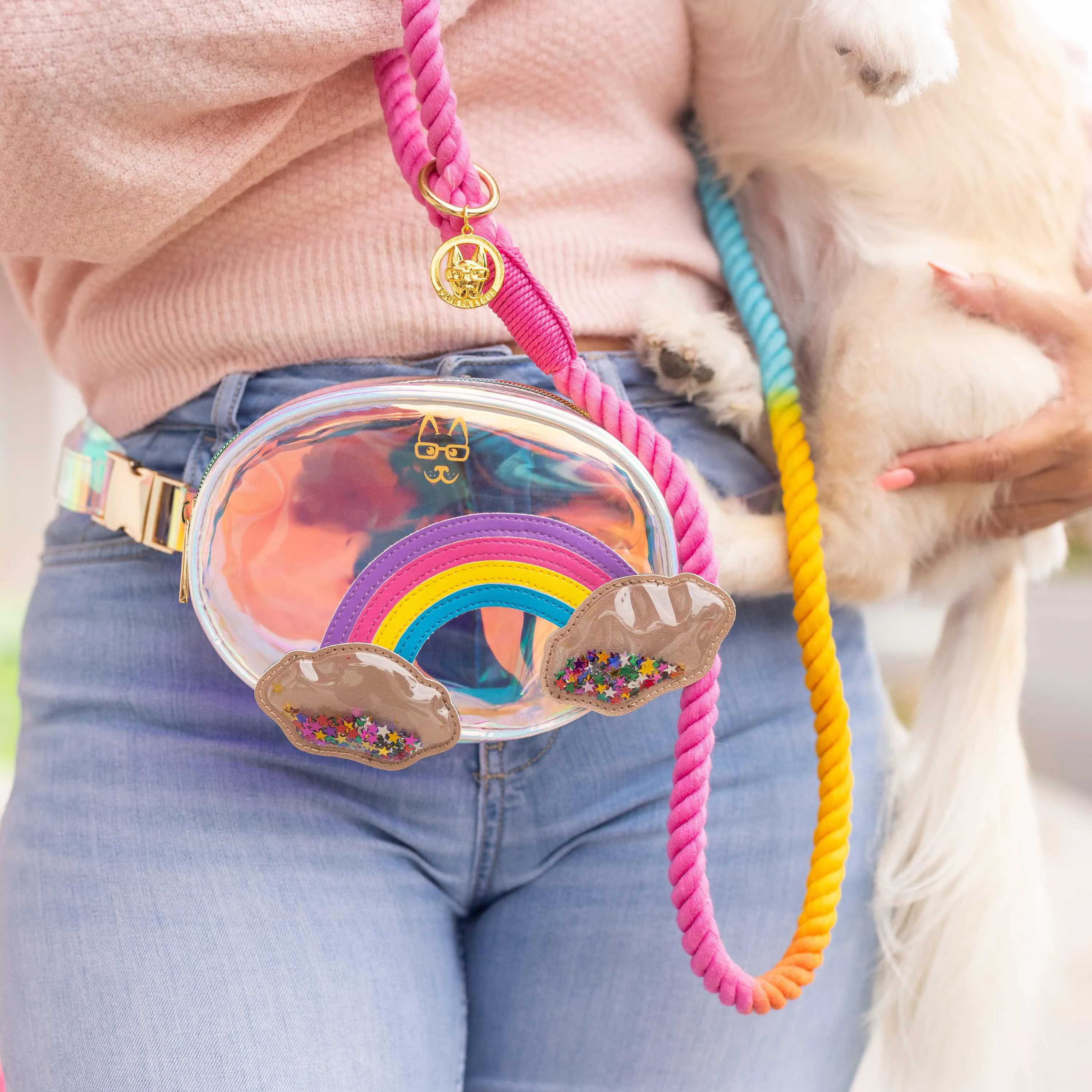 A happy dog wearing a bow tie, looking slightly upwards with a curious expression.