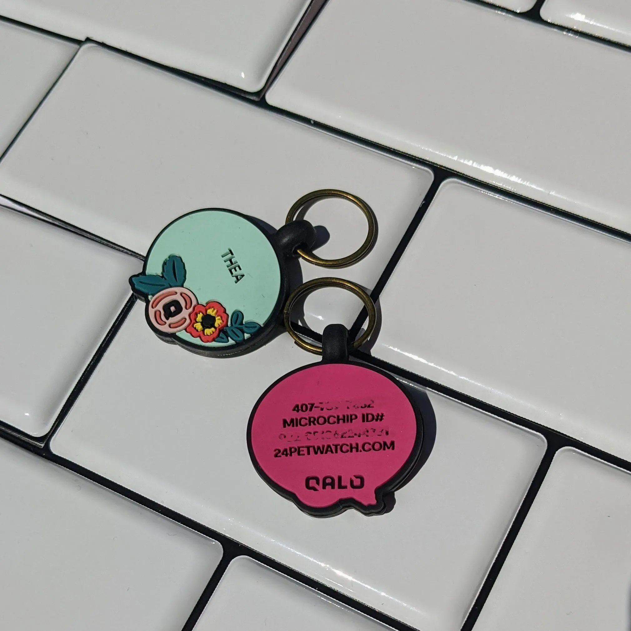 A happy dog with a QALO silicone ID tag visible on its collar.