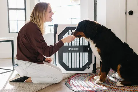 A happy Golden Retriever puppy relaxing comfortably inside a wire crate with a soft blanket.