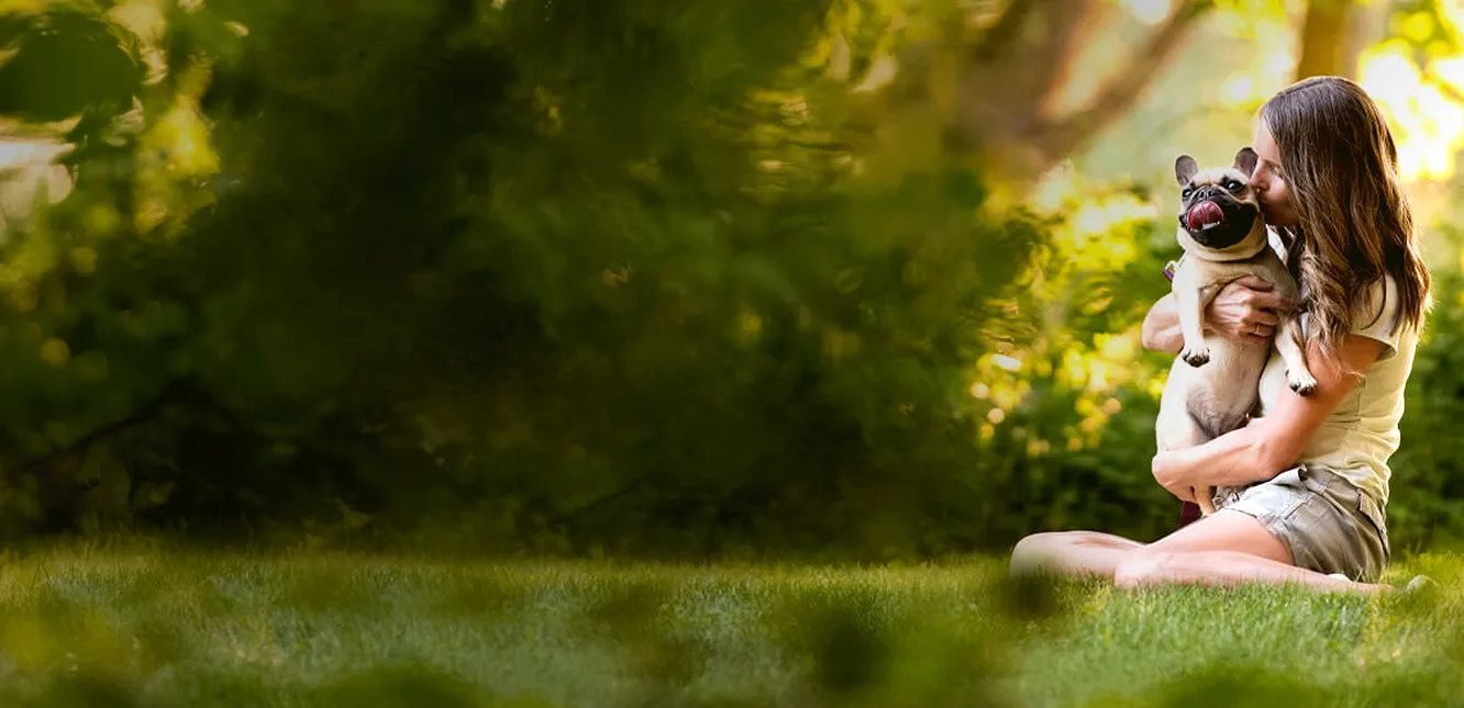 A happy pug enjoys a moment with her owner, showcasing the bond fostered by good health.