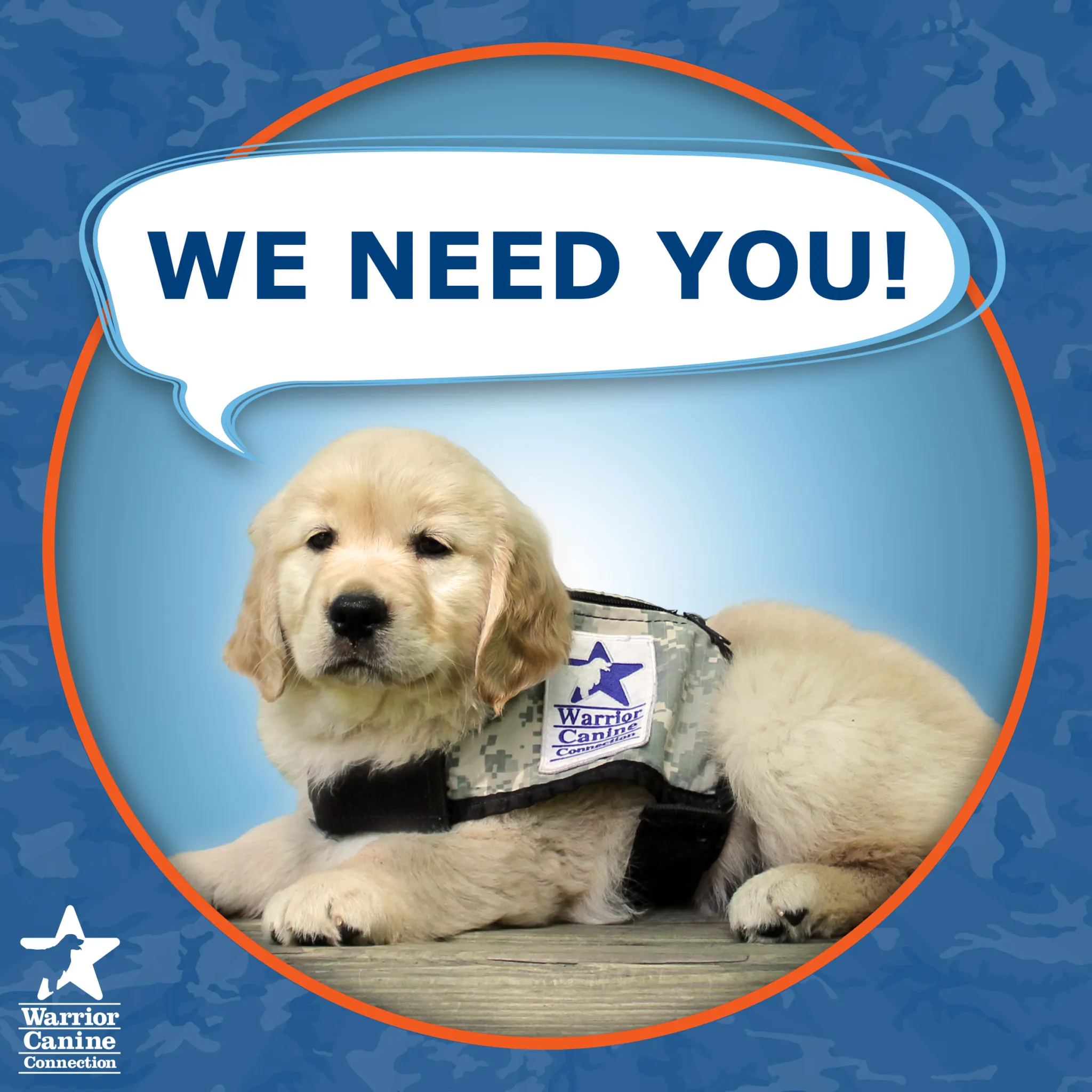 A happy service dog puppy playfully asking for attention from a volunteer