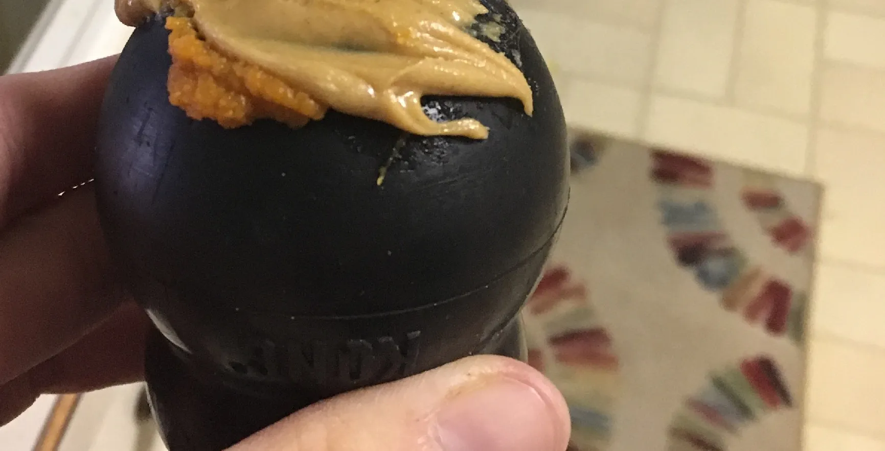 A Kong toy with a long chewy treat inserted into its opening