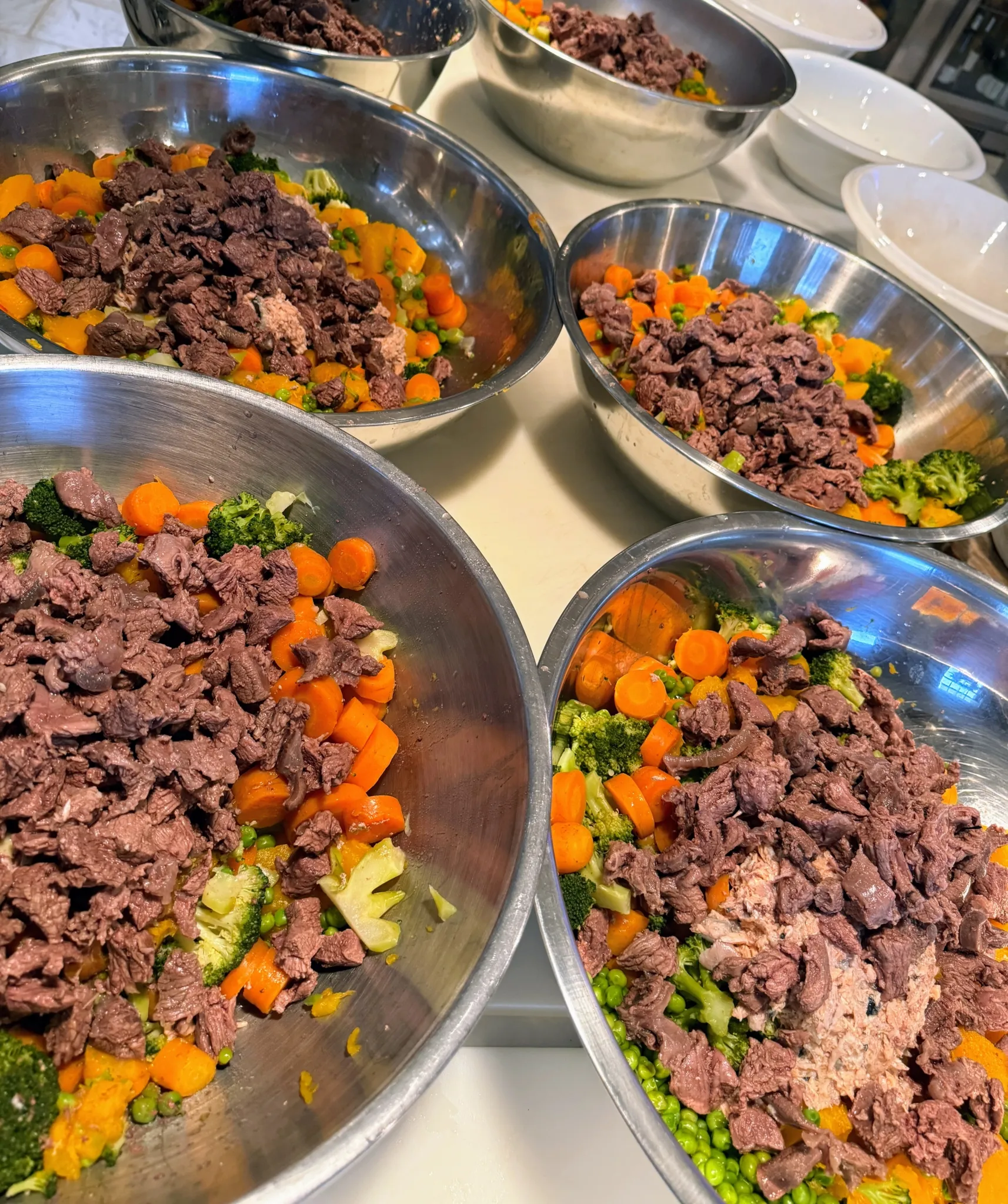 A large batch of varied homemade dog food, including venison and garden vegetables.