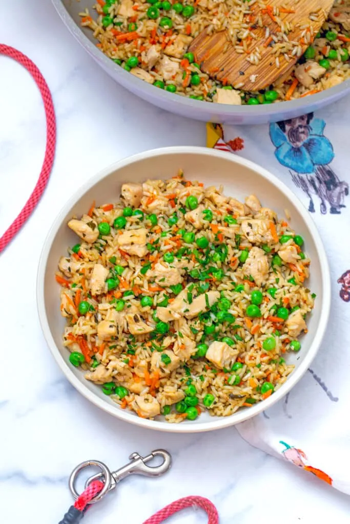 A large bowl of homemade chicken and rice dog food, garnished with colorful vegetables, sitting on a countertop.