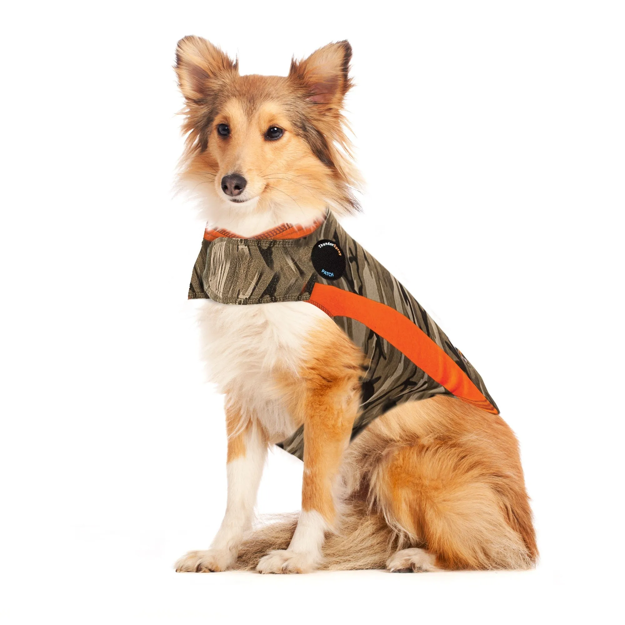 A large dog wearing a Camo Polo ThunderShirt, standing relaxed