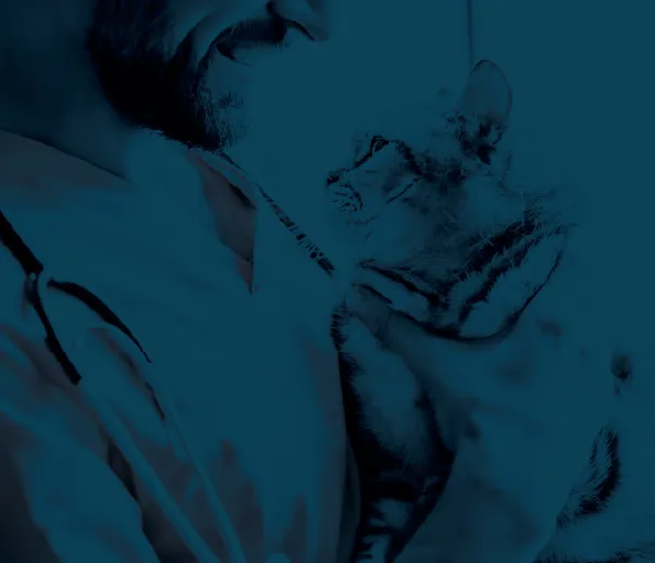 A male doctor gently holding a tabby cat during a veterinary examination
