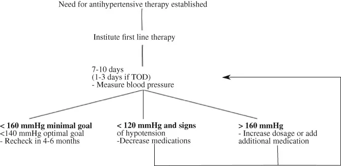 A management chart illustrating a stepwise approach to canine hypertension, including repeat blood pressure measurements and medication adjustments.