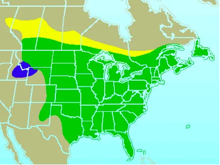 A map illustrating the distribution range of the Blue Jay across the United States, with different colors indicating summer-only, winter-only, and year-round presence.
