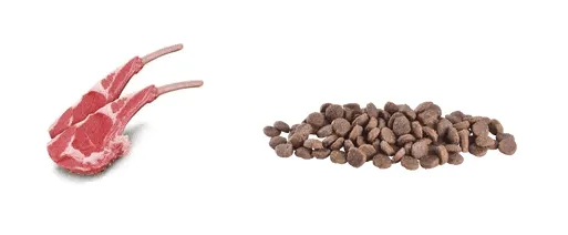 A nutritional fact label for Brit Care Mini GF Puppy Lamb, detailing its analytical ingredients.