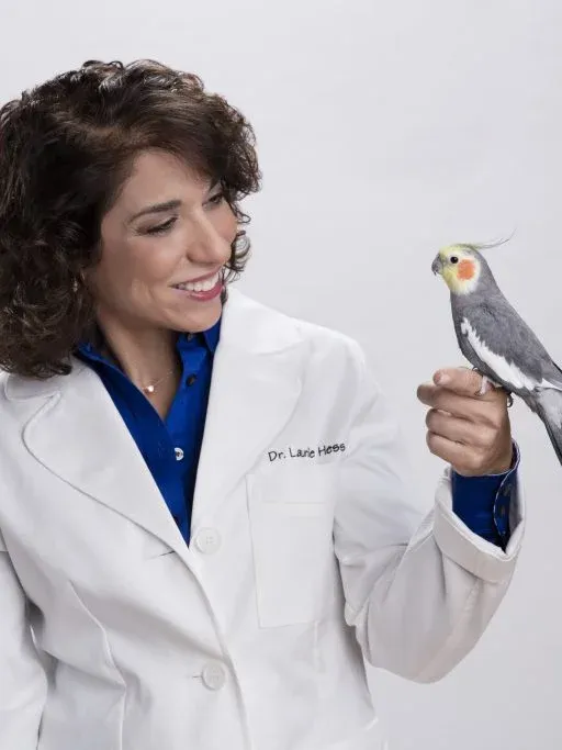 A parrot perched thoughtfully near a window, symbolizing its need for mental stimulation