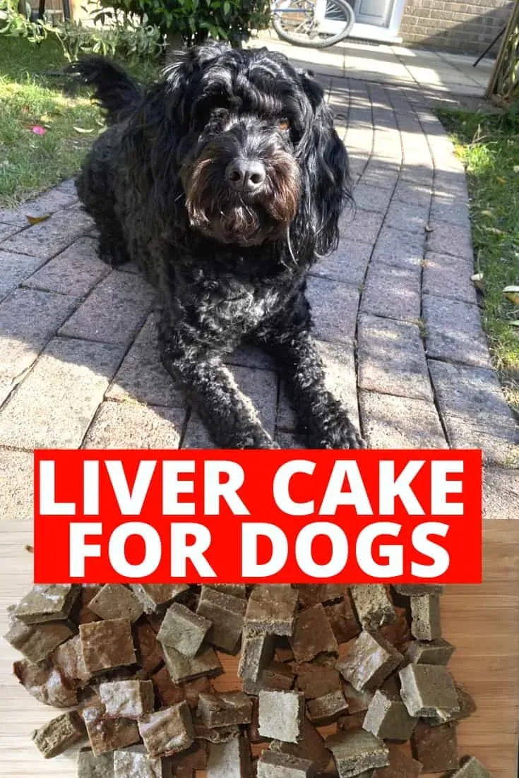 A perfectly baked and golden-brown liver cake for dogs, ready to be sliced into training treats