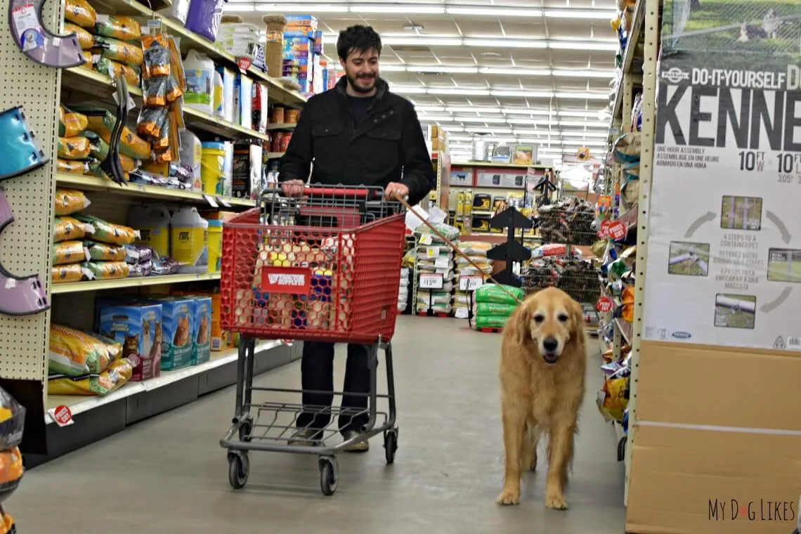 A person and a dog browsing products in a Tractor Supply store