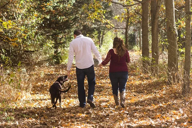 A person and their dog walking through a sunlit forest trail.