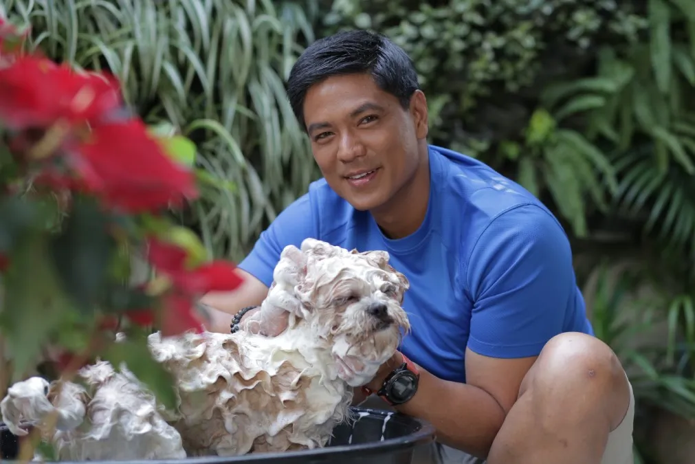 A person gently brushing a dog's fur, highlighting the importance of proper grooming and hygiene for pet health