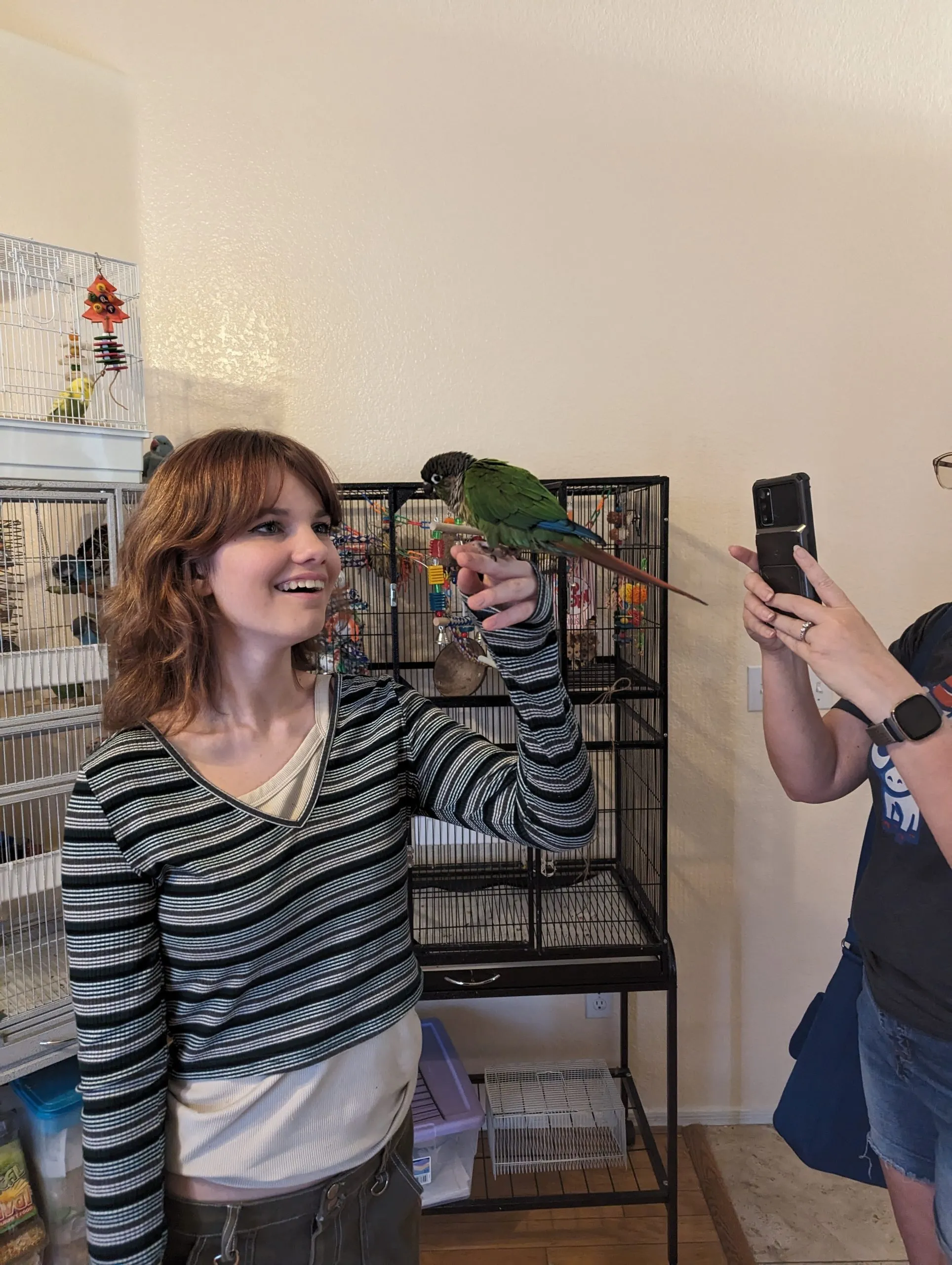 A person gently holding a parrot indoors, showcasing the bond between owner and pet