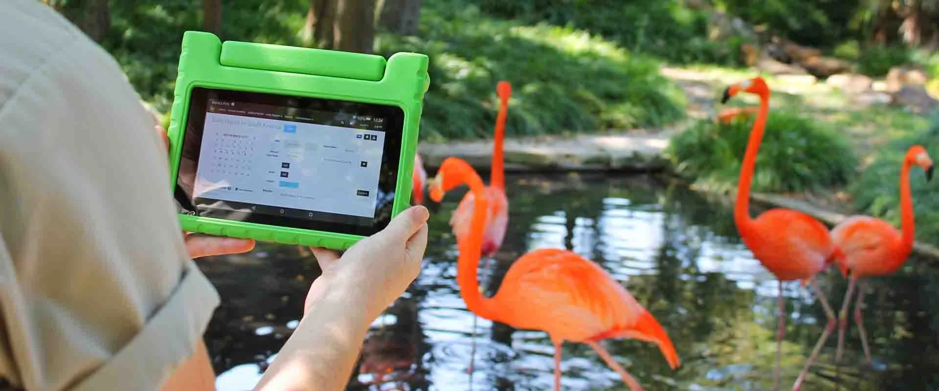 A person using a tablet to record daily activities and observations for a dog in an outdoor setting