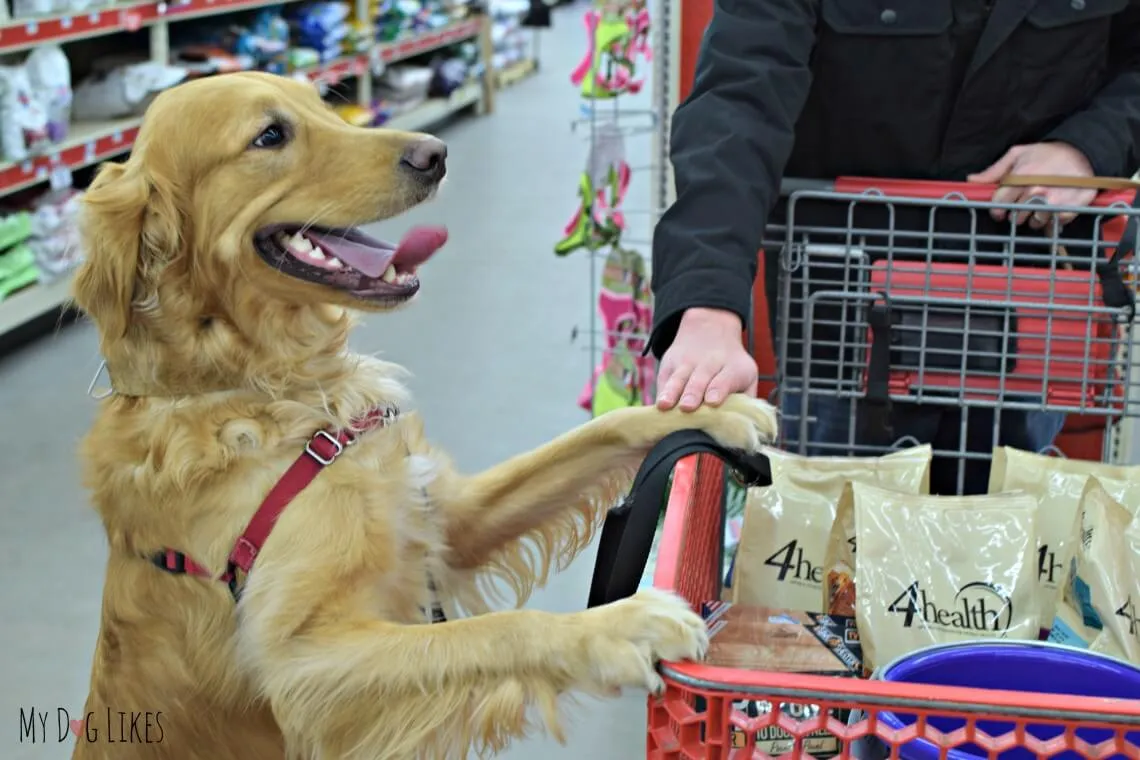 A person with a dog selecting items to donate at Tractor Supply