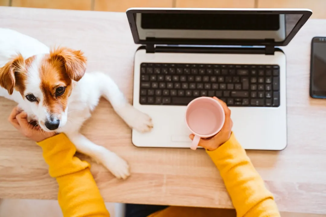 A person working on a laptop with a small puppy sitting nearby, illustrating business management in pet care.
