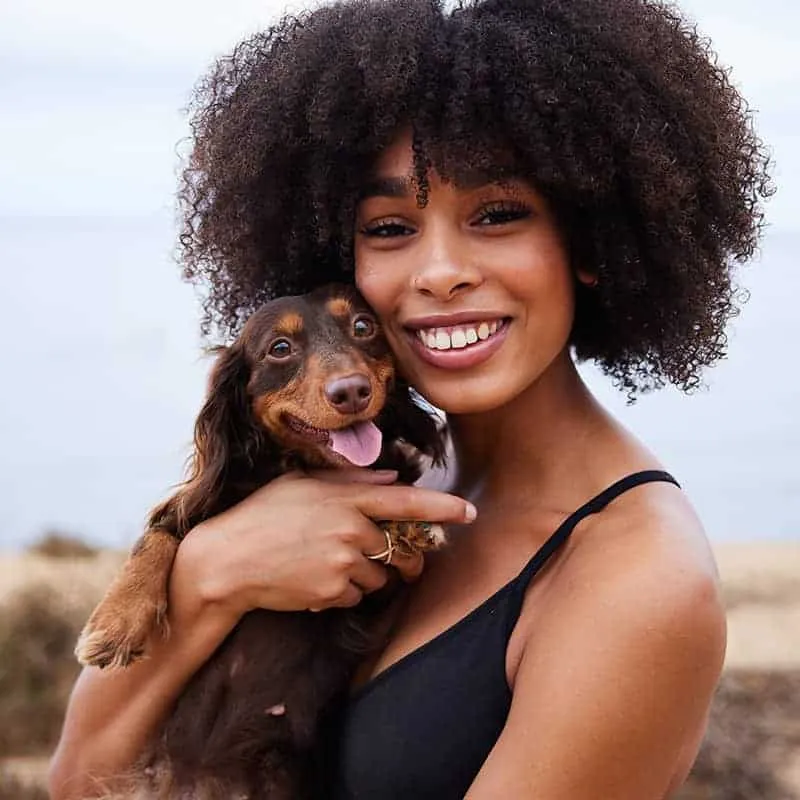 A pet owner consulting a veterinarian about preventative care for their dog
