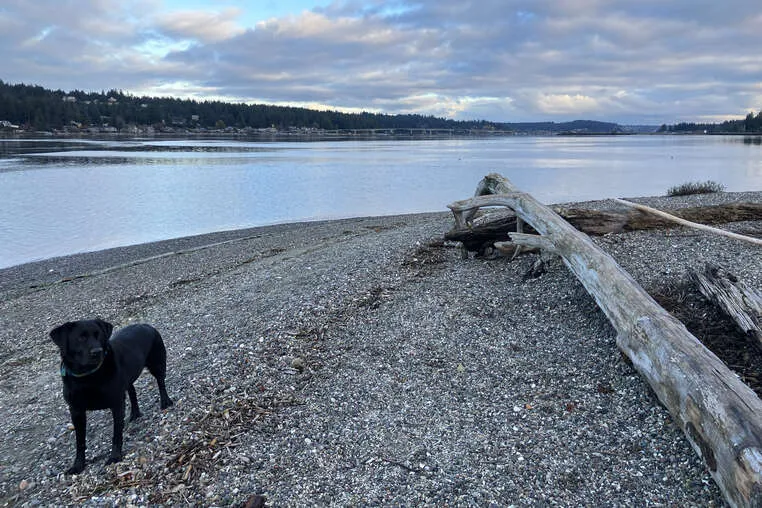 A pet owner receiving peace of mind from a trusted at-home pet sitter.