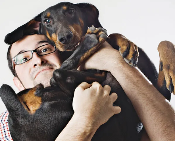A playful Doberman Pinscher holding a ball, illustrating the breed's energetic nature.