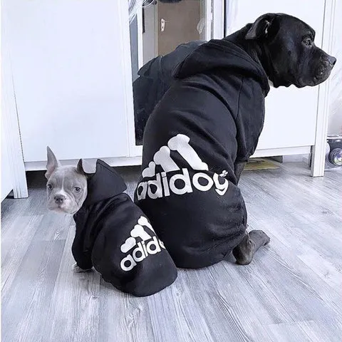 A playful dog happily posing in a vibrant Adidog hoodie