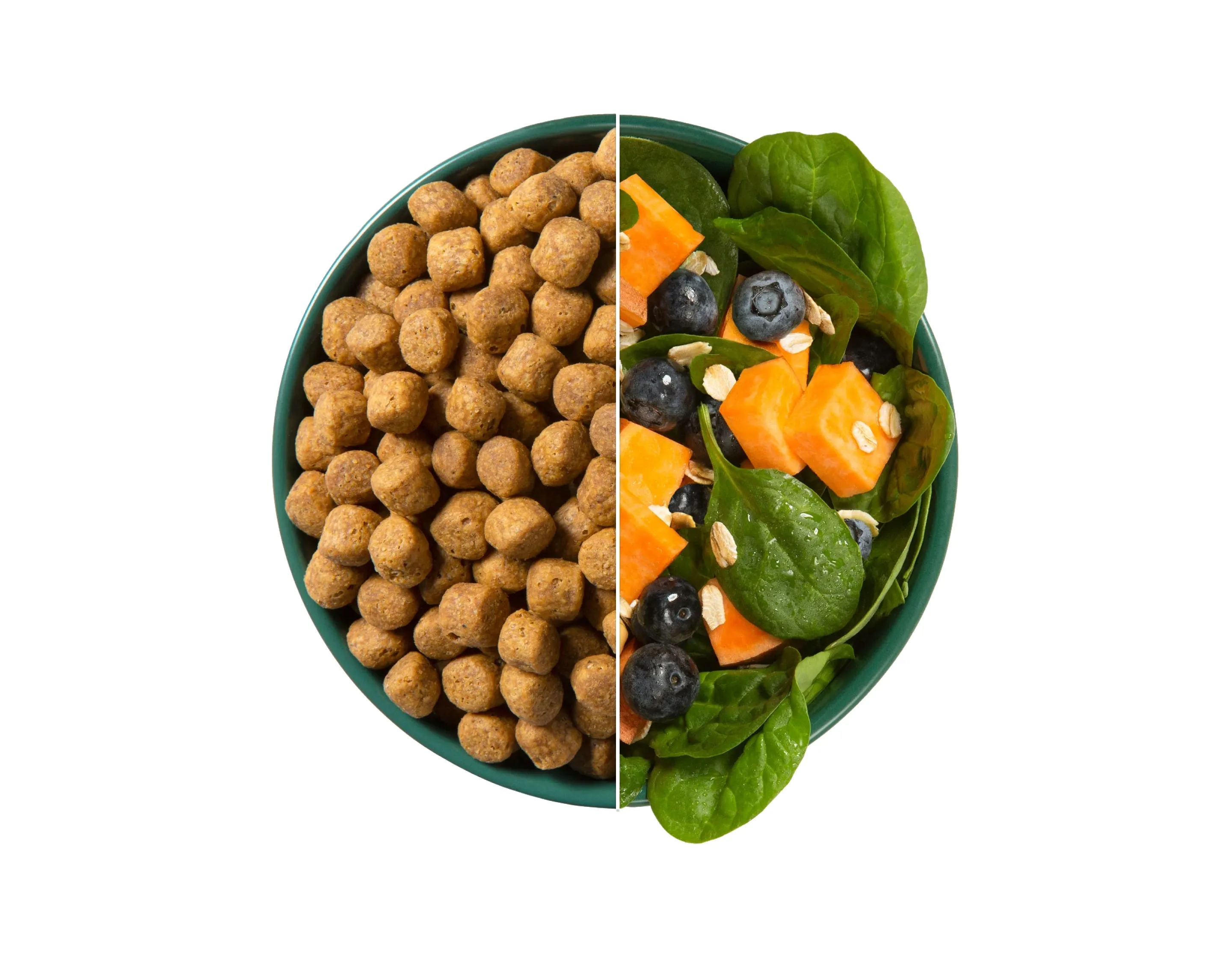 A playful dog running in a field.