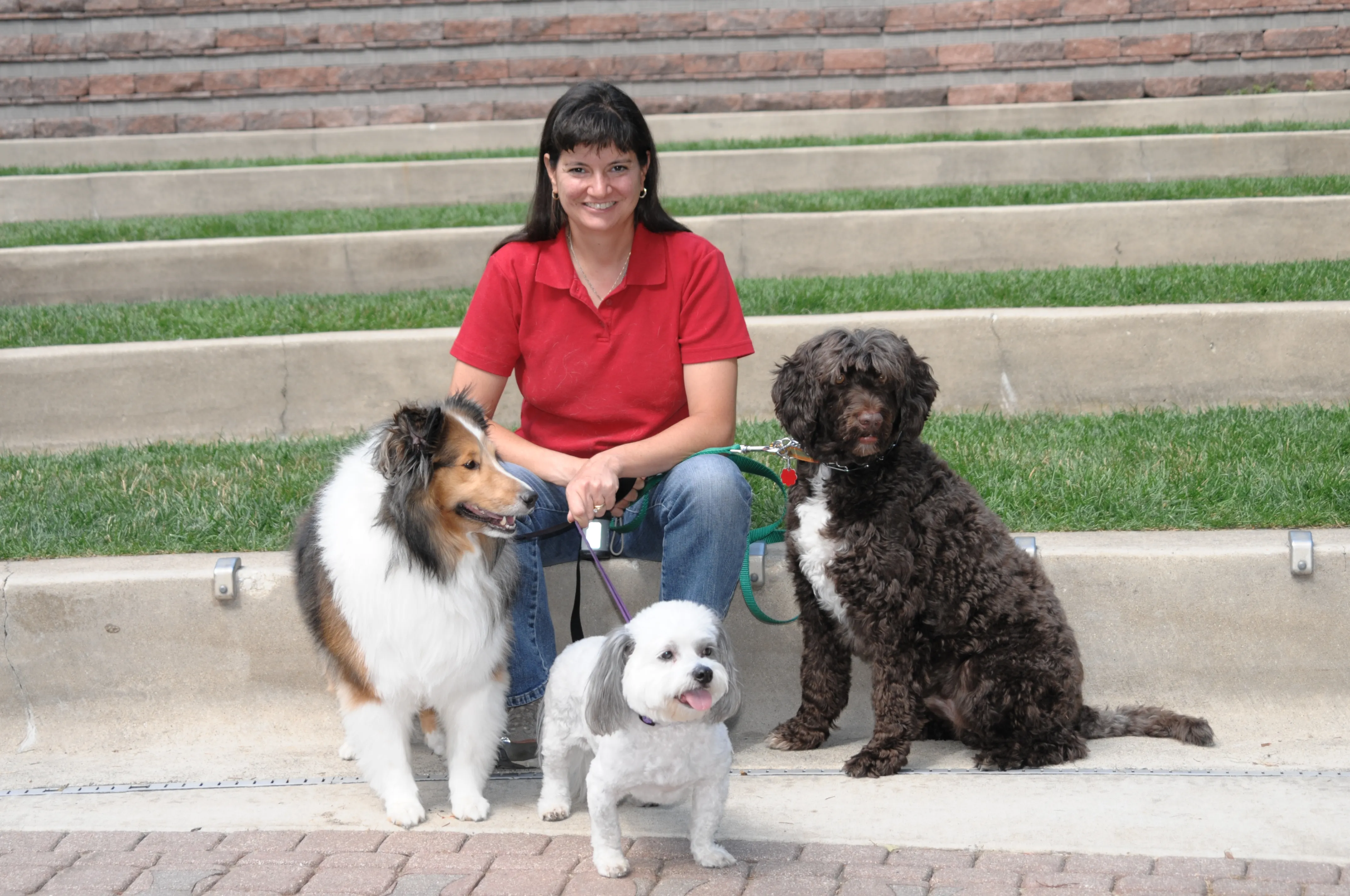 A playful dog running outdoors with vibrant energy