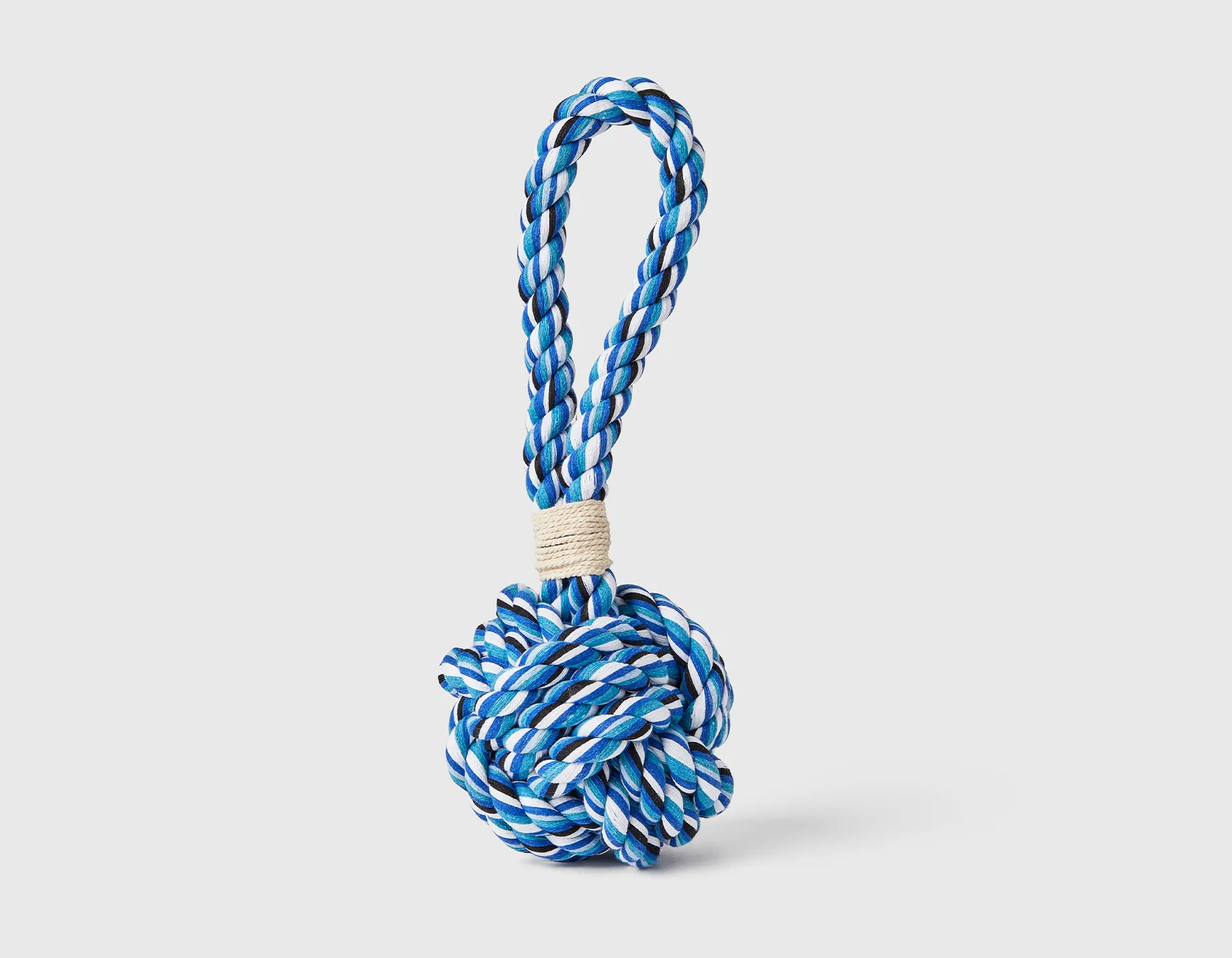 A playful Golden Retriever tugging on a colorful braided rope toy
