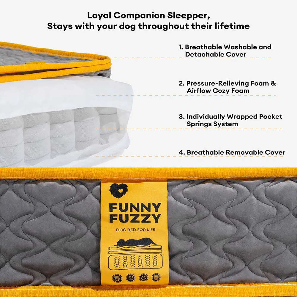 A playful puppy comfortably nestled in a large, soft human-grade dog bed