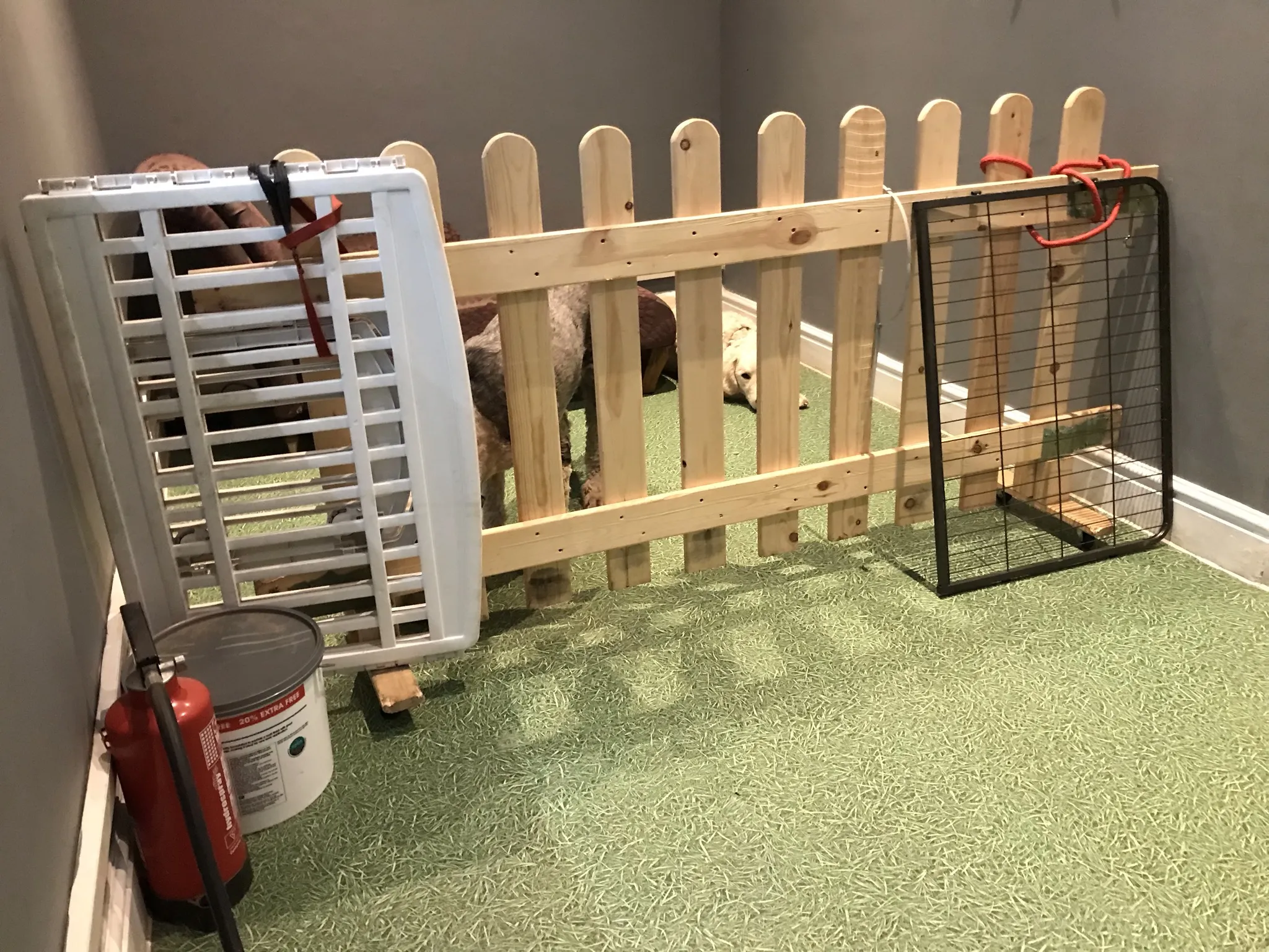 A poorly constructed enclosure designed for two large dogs