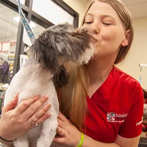 A professional dog groomer carefully trimming a dog's nails with clippers.