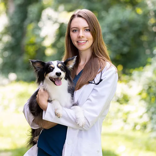 A professional headshot of Dr. Brittany Wolfe, Medical Director and Partner, with a warm expression