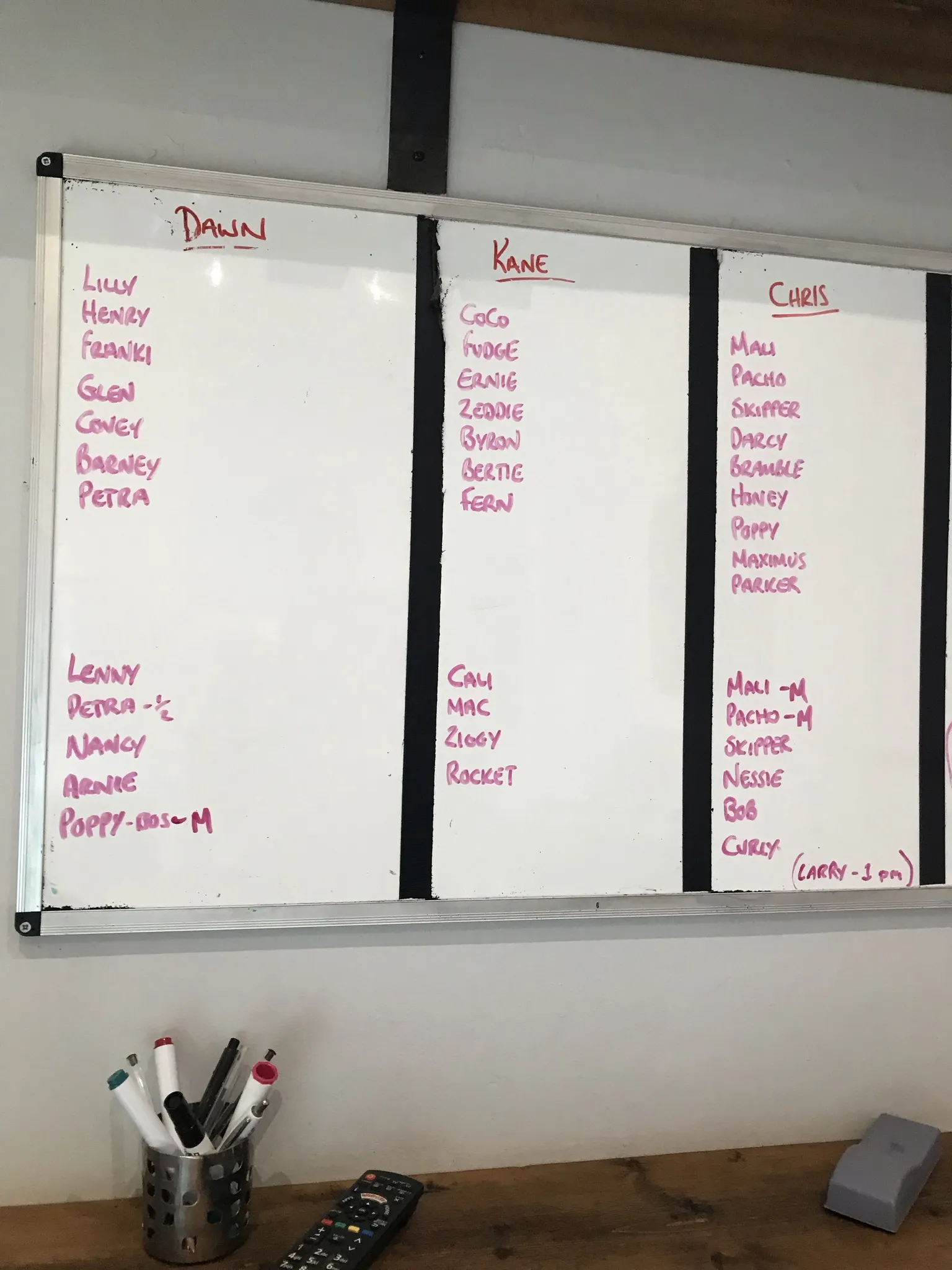 A selection of daily dog collection logs, indicating staff assignments for pickups and drop-offs