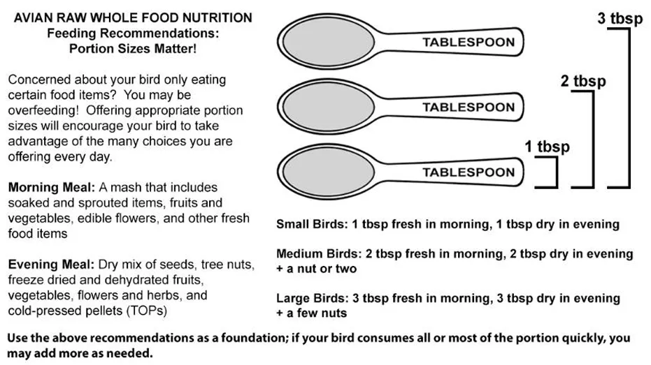 A selection of dry feeding components, including seeds, pellets, and freeze-dried items, rounding out a parrot's daily nutrition.