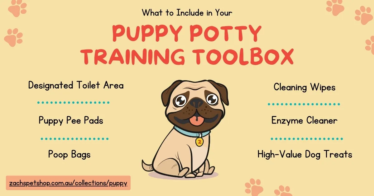 A selection of essential puppy potty training tools, including pads, treats, and cleaning supplies