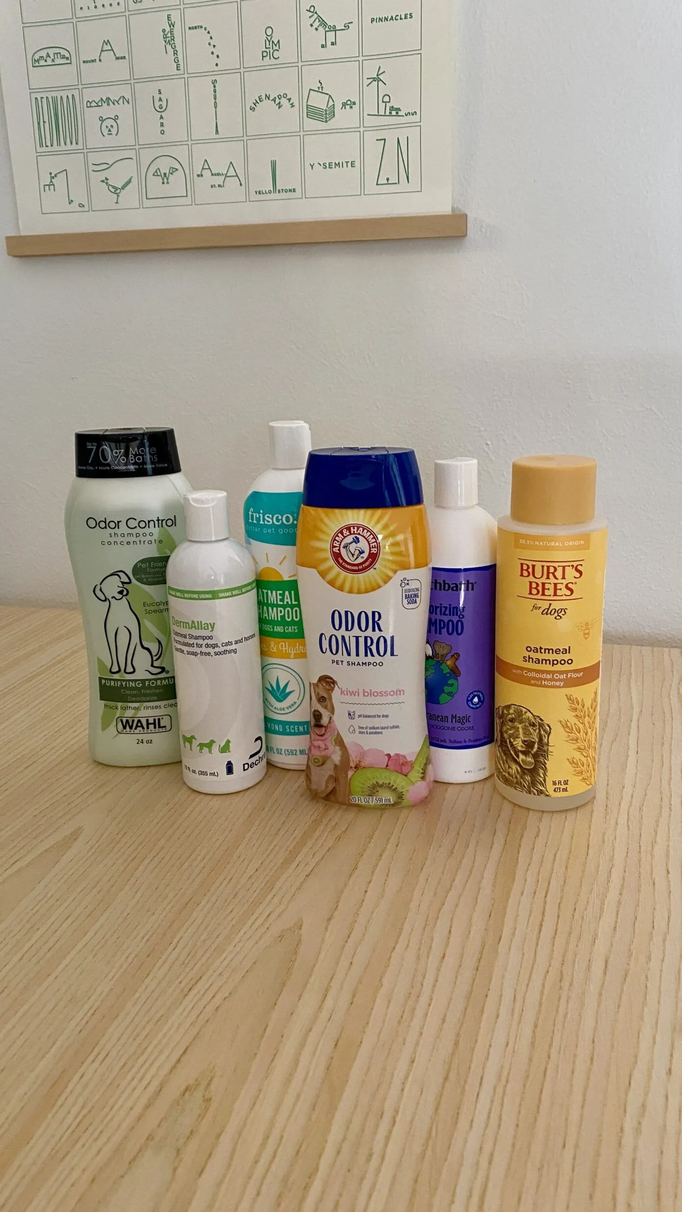 A selection of four dog shampoo bottles standing on a white surface, with three blurry shampoo bottles in the background.