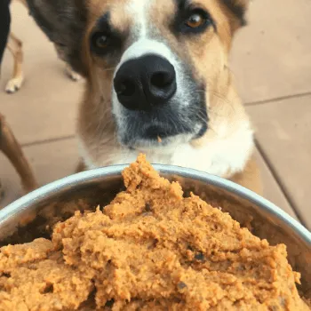 A series of images showing the process of baking sweet potatoes, browning lean ground beef, and combining fresh vegetables for homemade dog food.
