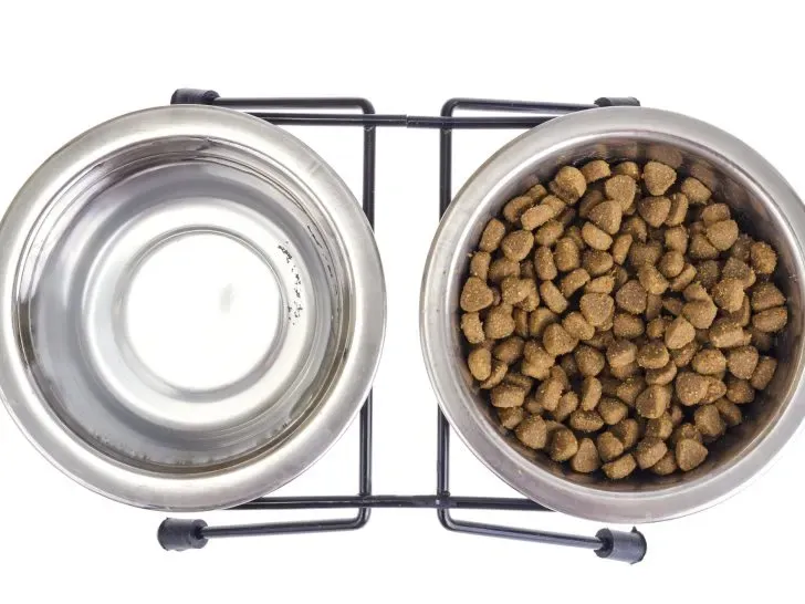 A set of metal bowls for water and dry pet food placed on a mat.