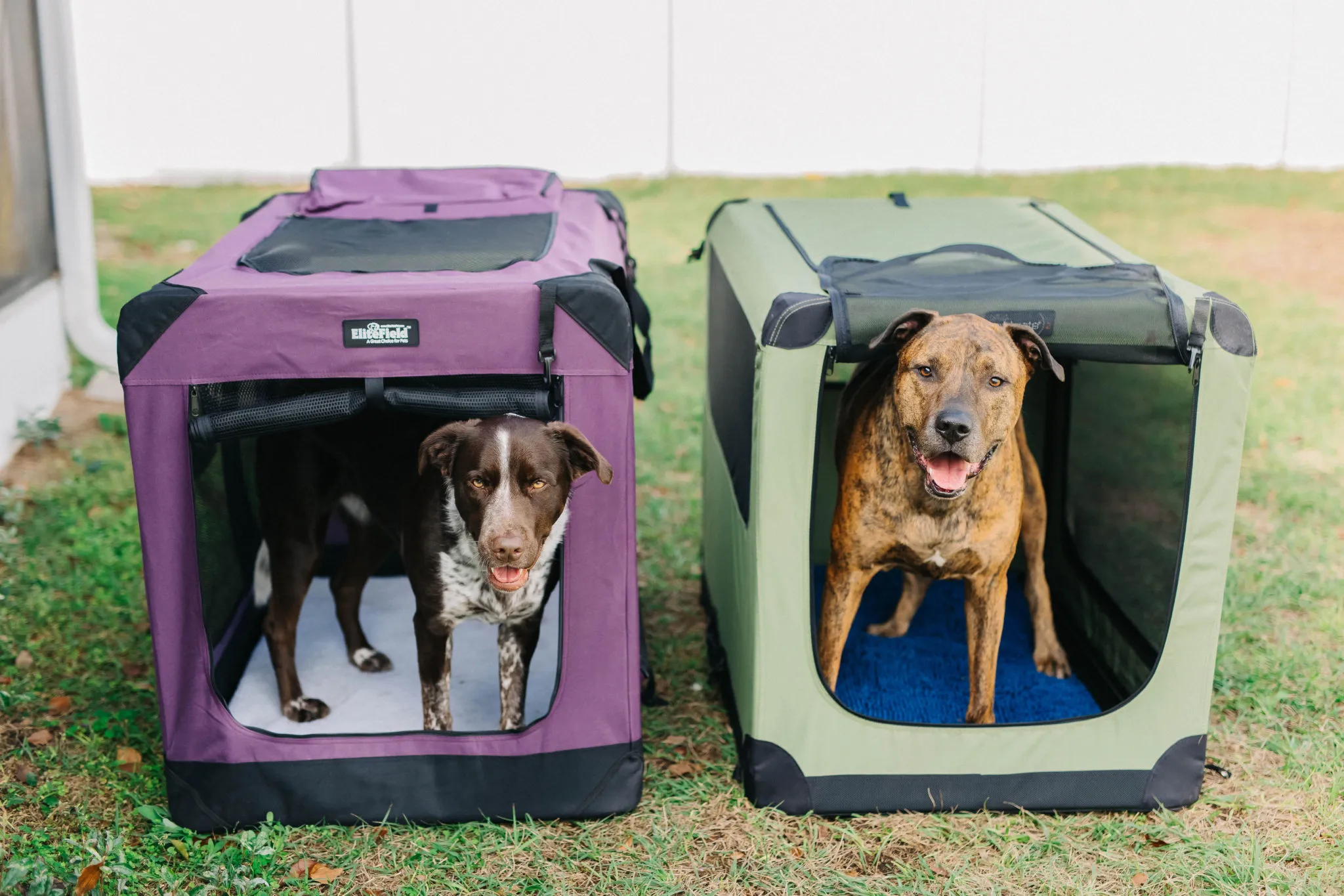 A side-by-side comparison of an EliteField soft sided dog crate and a Noz2Noz soft crate, highlighting their similar dimensions.