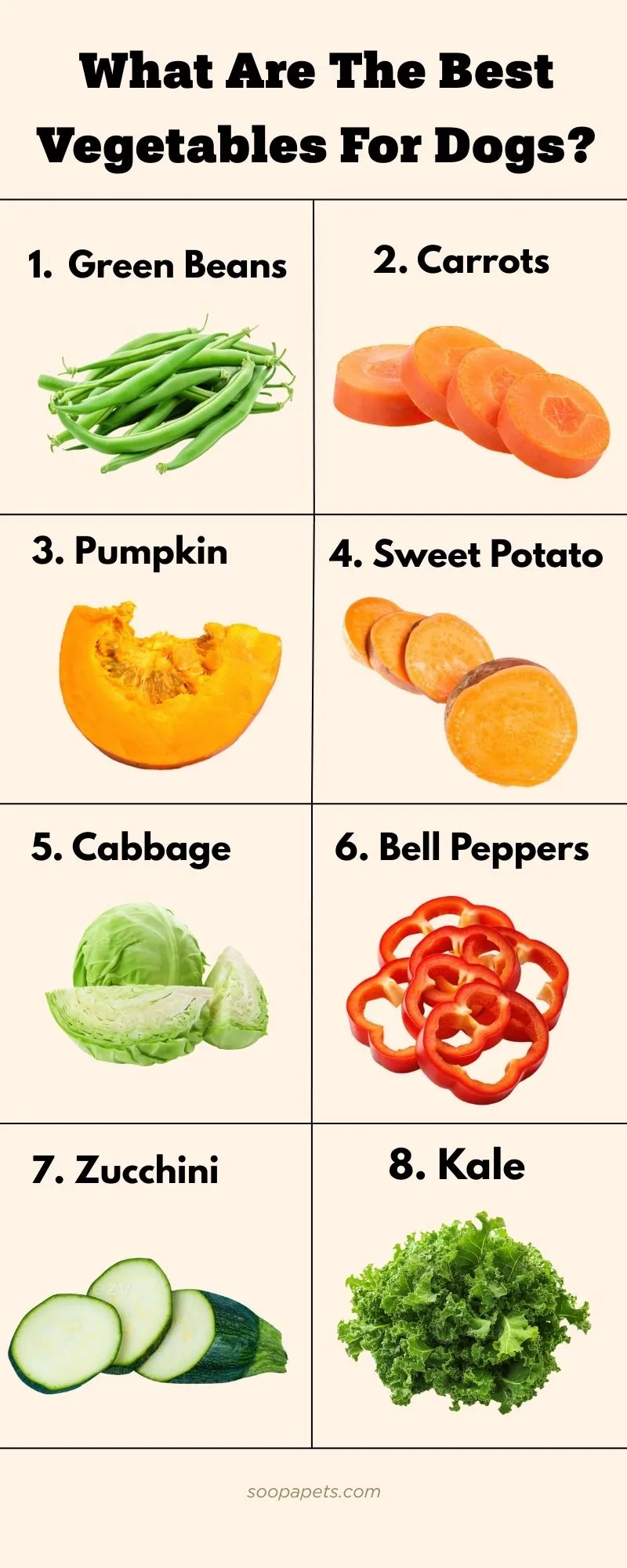 A side-by-side comparison of different ingredient types, highlighting natural and healthy options suitable for pet diets.
