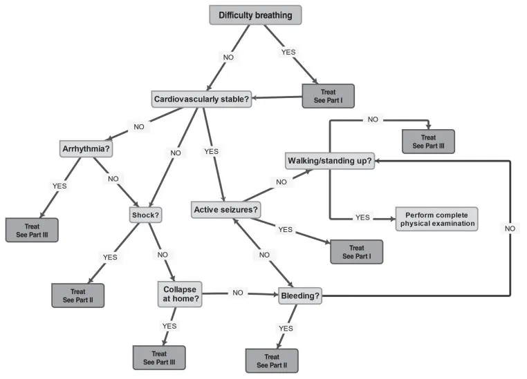 A simplified flowchart illustrating veterinary triage categories based on severity and body systems, guiding initial assessment and intervention steps.