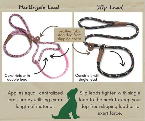 A slip lead, also known as a Martingale lead, securely fitted around a dog's neck, illustrating proper use for training.